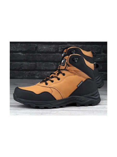Pantofi Dk