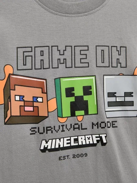 Reserved футболка Minecraft темно-сірий сіра