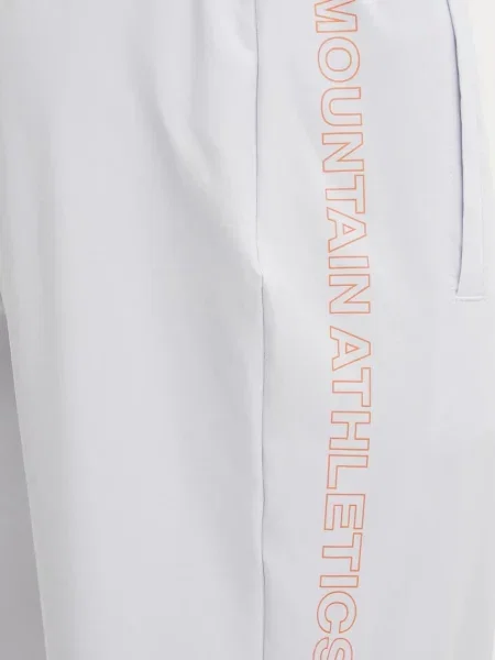 Спортивные штаны The North Face