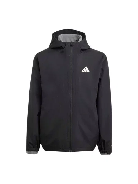 ADIDAS TERREX Geacă outdoor negru