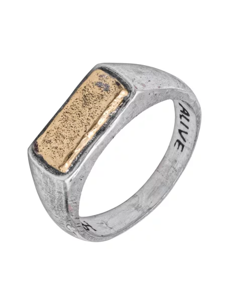Haze&Glory Prstan / srebrna zlata