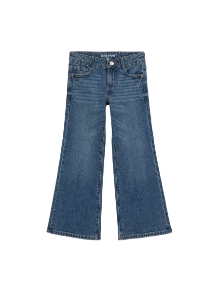 WE Fashion Jeans denim albastru