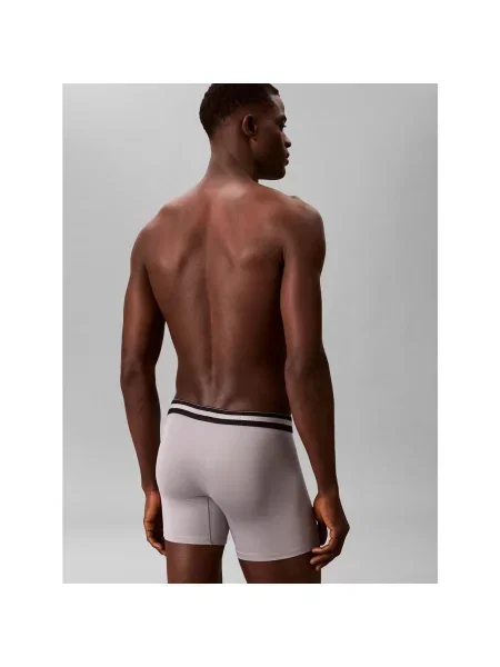Chiloți Calvin Klein Jeans gri