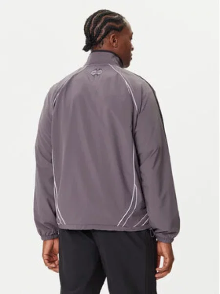 Adidas Majica dugih rukava Teamgeist adicolor siva