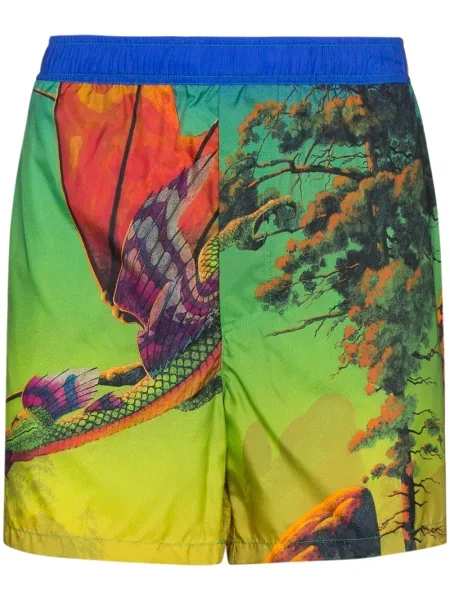 Slip de baie Valentino cu imagine verde