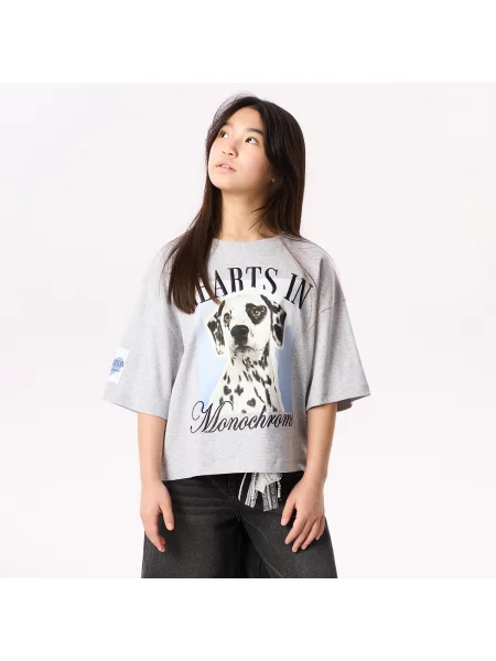 Reserved Mintás póló világos szürke