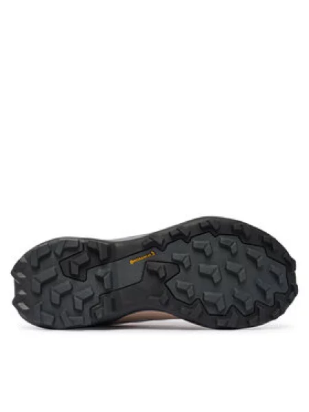 Adidas Turistiniai batai Terrex Skychaser Hiking Shoes rožinė