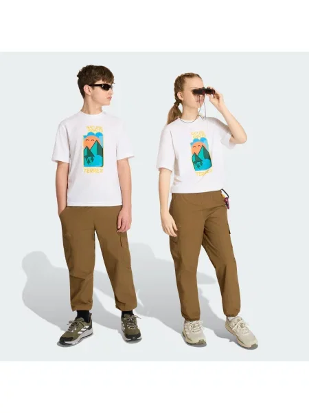Cargo kalhoty Terrex Xploric hnědé