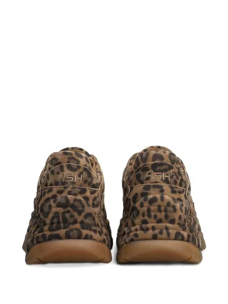 Sneaker Ash nyomtatás barna
