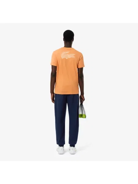 Спортивные штаны Lacoste серые