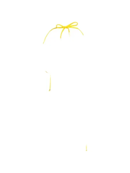 Wyciąć bikini Amir Slama wiązany żółty