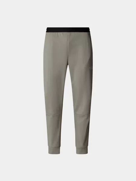 Штани спортивні The North Face сірий