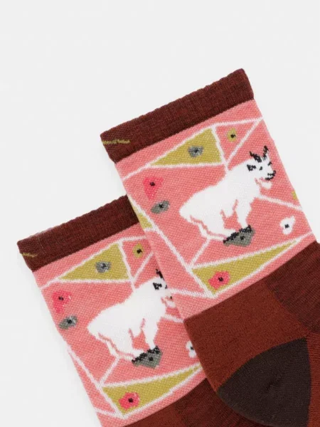 Darn Tough шкарпетки