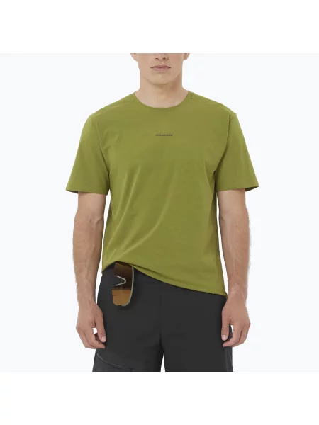 Tricou pentru bărbați Salomon Trackline cardamon seed