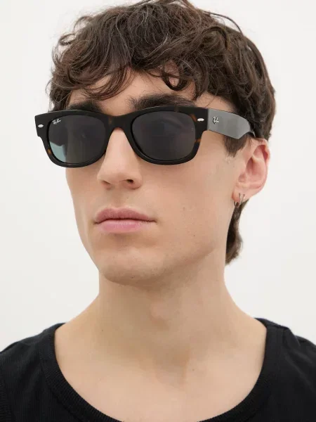 Ray-Ban sončna očala rjava