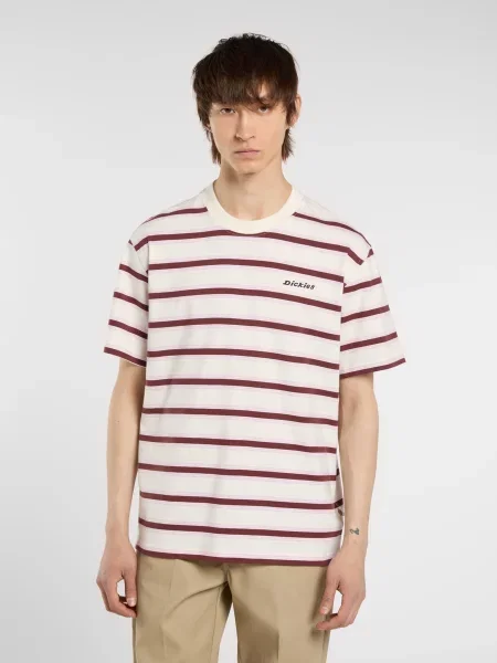Футболка Dickies в полоску белая
