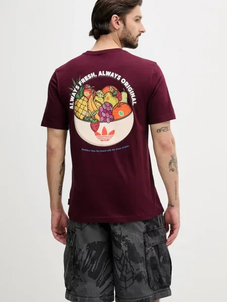 Kratka majica adidas Originals Graphic Lo Ss T bordo