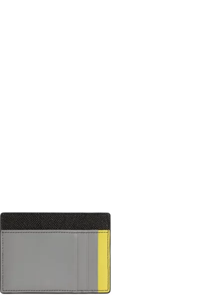 Portofel Dolce & Gabbana gri