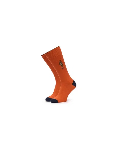 Polo Ralph Lauren Dolge nogavice Pisana