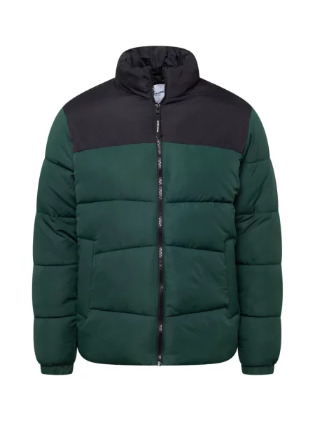 JACK & JONES Geacă de iarnă Chili verde închis negru