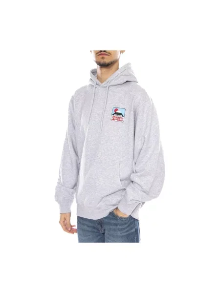 Bluza z kapturem Edwin z kapturem szara