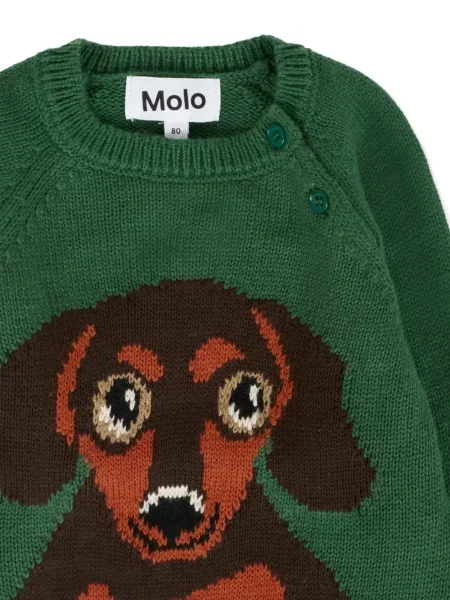 Sweter dziecięcy Molo zielony