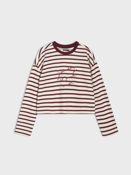 Смугаста блузка різнобарвний