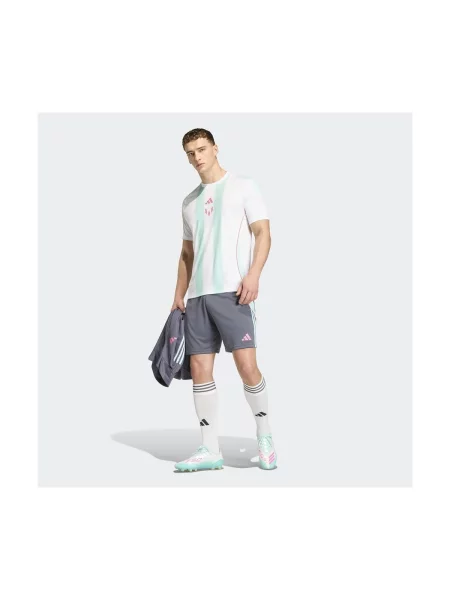 Šortky Adidas sivá
