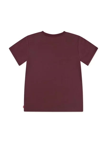 Levi's tričko LVG BATWING CHEST HIT TEE