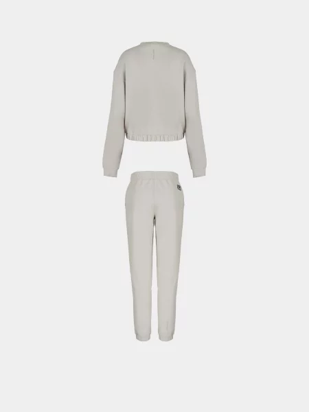 Костюмный спортивный костюм Ea7 серый