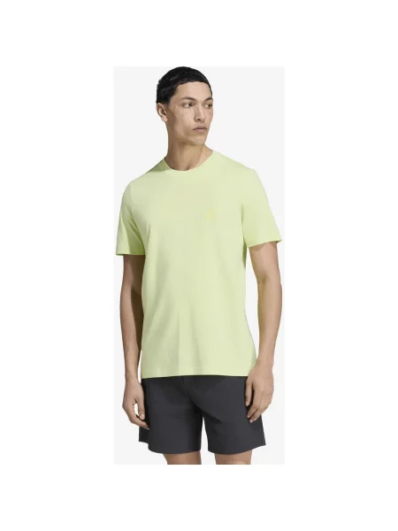 Koszulka z krótkim rękawem damska adidas Terrex Mountain Graphic pastelowy S zielony
