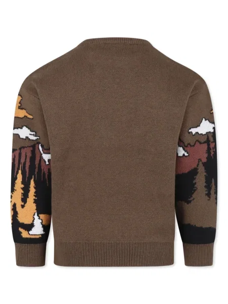 Sweter dziecięcy Timberland zielony