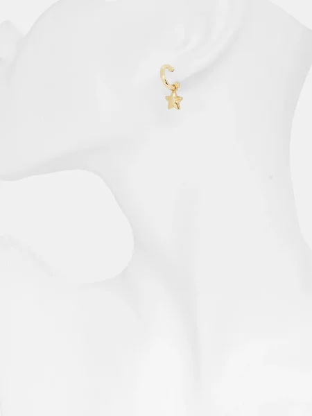 Сережки Coach