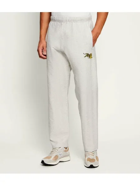 Kenzo Pantaloni de trening | Straight fit gri