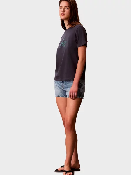 Класична футболка Calvin Klein Jeans сіра
