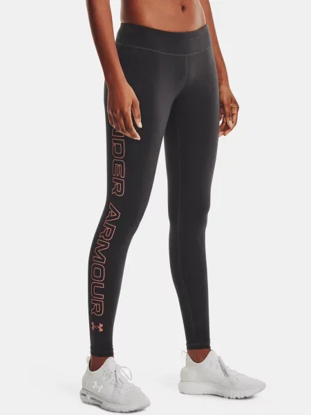 Dresuri Under Armour gri