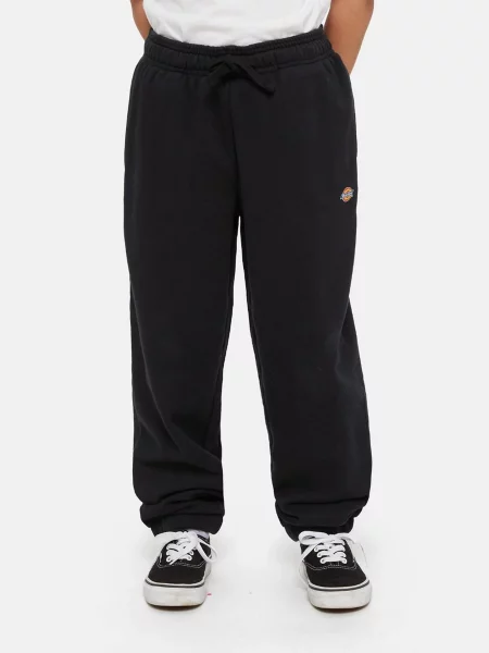 Дитячі Джогери Dickies Mapleton чорний