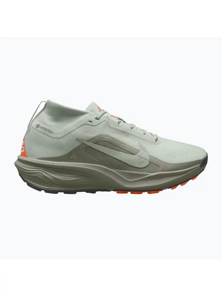 Încălțăminte de alergare pentru bărbați Nike ACG Pegasus Trail GORE-TEX Light Silver/Light Army/Light Silver