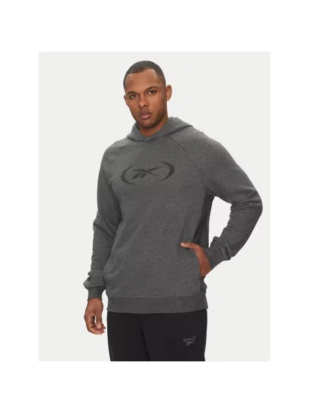 Reebok Majica dugih rukava siva