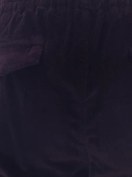 Pantaloni Eleventy de catifea cord violet