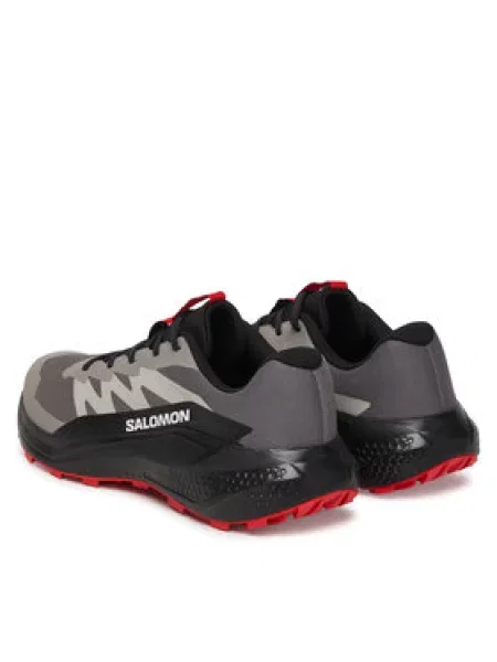 Futócipő Salomon Alphaglide szürke