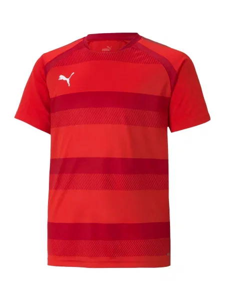 PUMA Tricou funcțional TeamVision roșu / roşu închis alb
