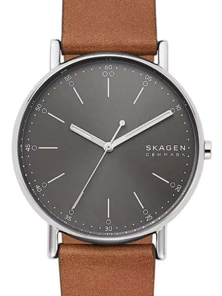 Ceas Skagen gri