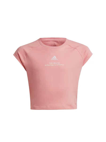 Sneakers Adidas Sportswear λευκό