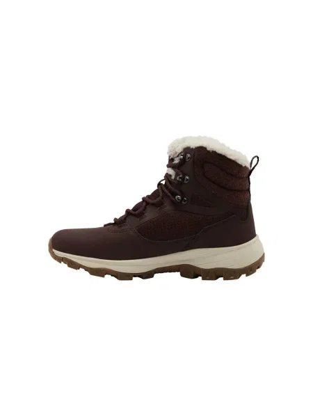 Dámske topánky Jack Wolfskin Everquest Texapore High dark mahogany hnedá