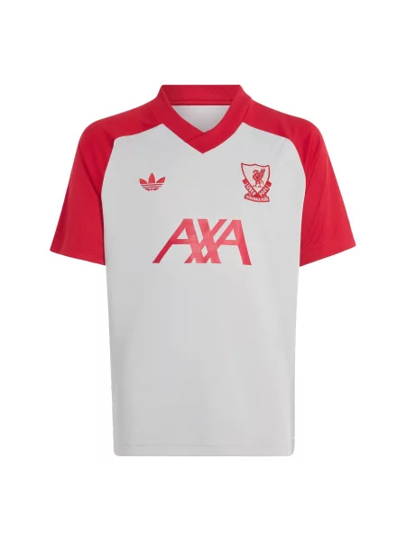 ADIDAS PERFORMANCE Tehnička sportska majica FC Liverpool / crvena siva