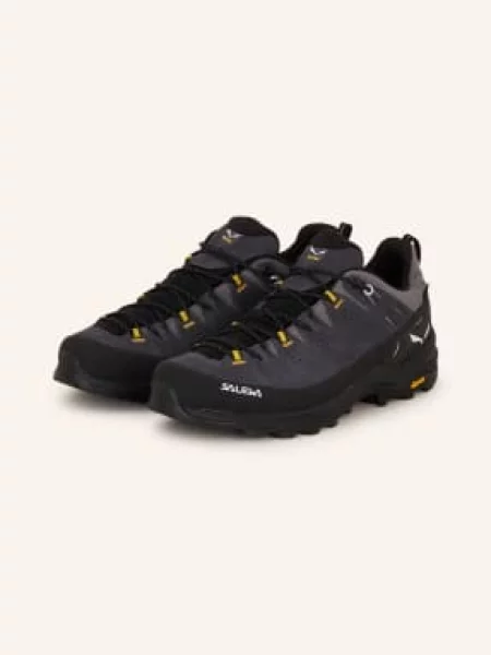 Salewa Turistické Boty Alp Trainer 2 Gtx černá šedé