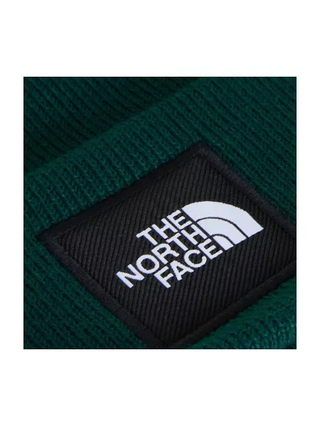 THE NORTH FACE Čiapky Dock Worker tmavozelená zelená