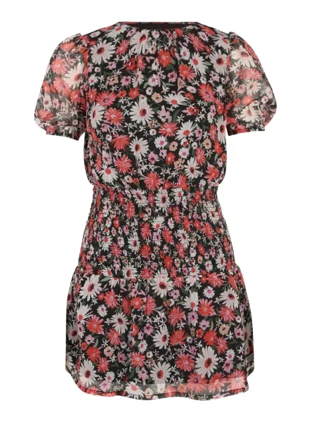 Dorothy Perkins Petite Šaty Daisy mix barev / korálová