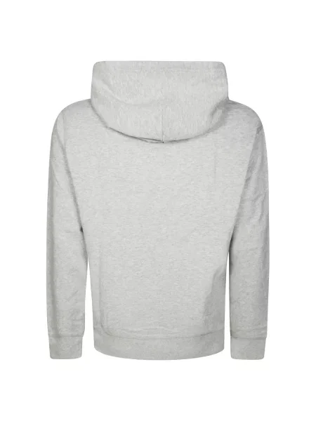 Bluza z kapturem Polo Ralph Lauren z kapturem szara